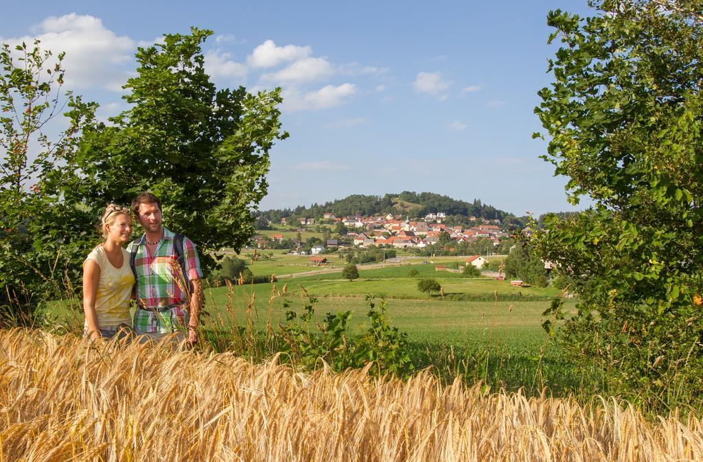 Zum Schwarzen Baeren Otel Vohenstrauss Dış mekan fotoğraf