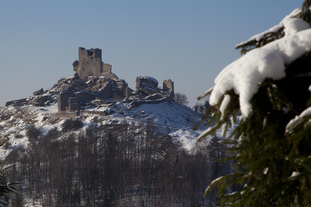 Zum Schwarzen Baeren Otel Vohenstrauss Dış mekan fotoğraf