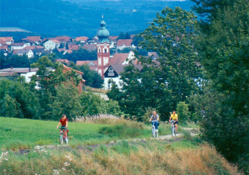 Zum Schwarzen Baeren Otel Vohenstrauss Dış mekan fotoğraf